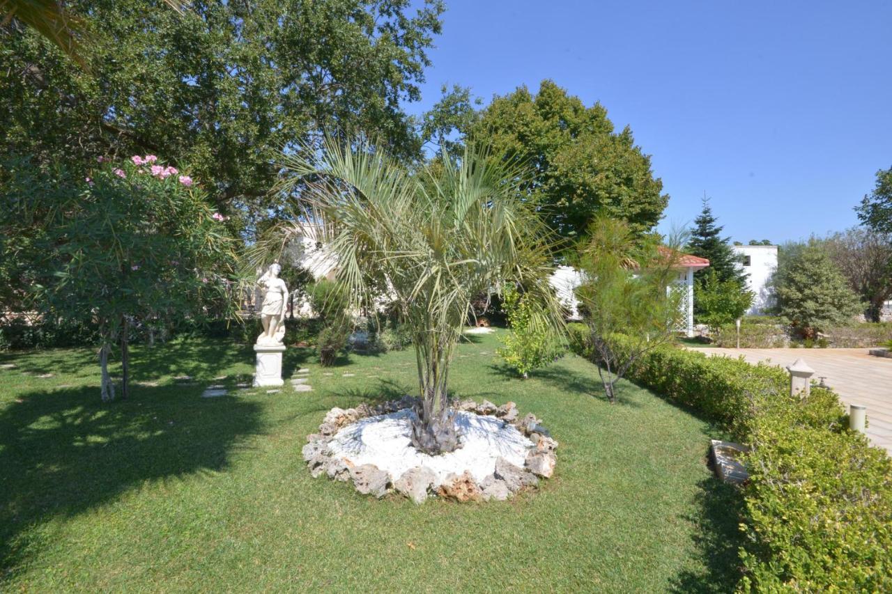 Bed and Breakfast Trulli Petra Chiara Locorotondo Zewnętrze zdjęcie